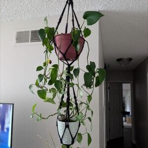 Hanging Planter Set with Black Macrame